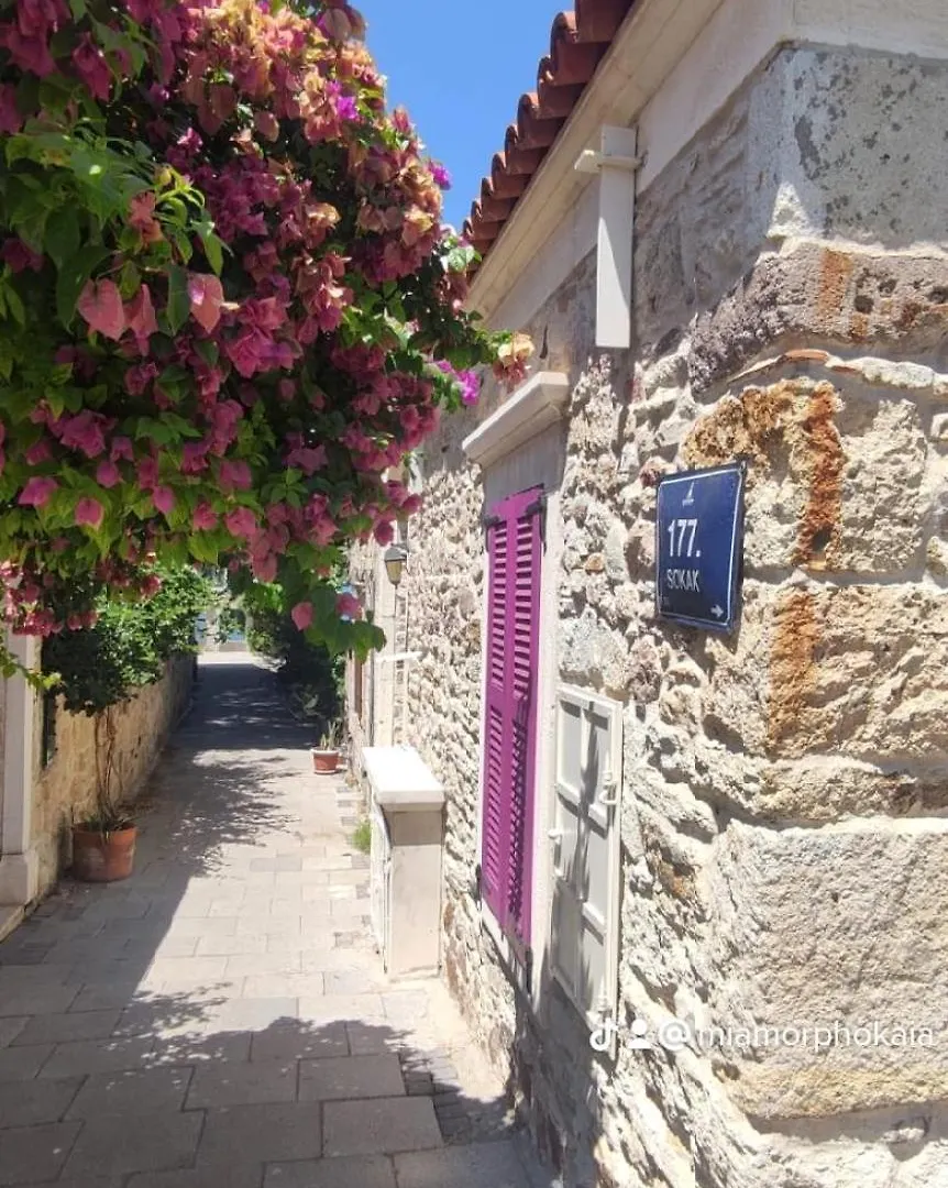 Pensión Mi Amor Phokaia Foça