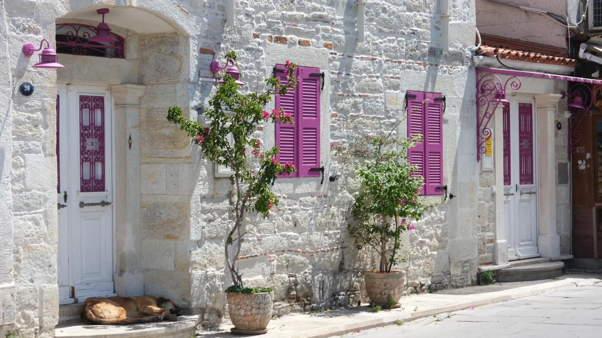 Pensión Mi Amor Phokaia Foça Turquía
